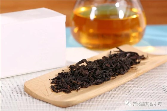 安化黑茶有茶梗，關(guān)于茶梗你知道多少？