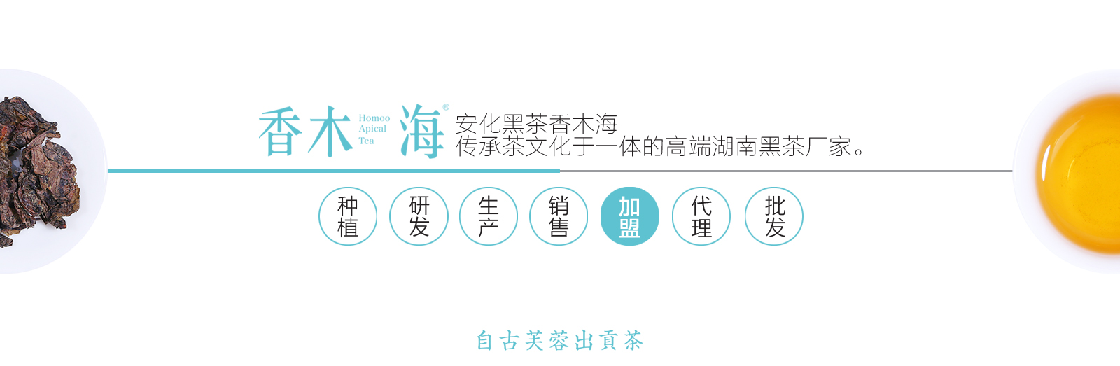 香木海，建好茶的標(biāo)準(zhǔn)，做黑茶的代表，為人類(lèi)健康服務(wù)。